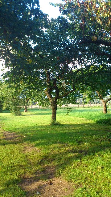 Landschaftsaufnahme