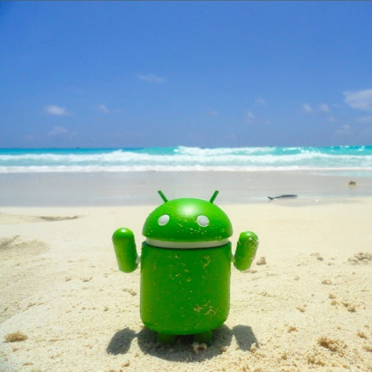 Android Logo (Bild: Google: Google+)