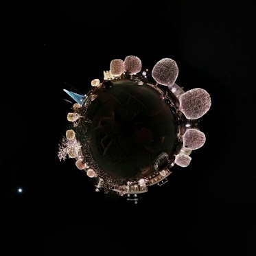 Tiny Planet (Bild: Nikhil Maheswareihah) Tiny Planet (Bild: Nikhil Maheswareihah)