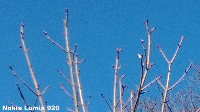 Branch 920
