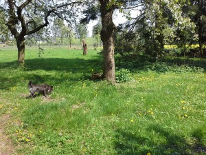 Samsung Galaxy S8 Kamera Landschaftsaufnahme