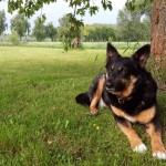 Landschaft und Motiv Kamera