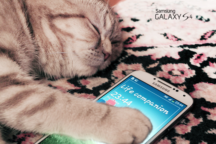 Samsung Galaxy S 4 (Bild: Samsung)