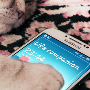 Samsung Galaxy S4 (Bild: Samsung)
