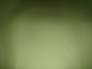 Der neue Formfaktor der Linse beschert nur noch unscharfe Bilder und komische Farben.