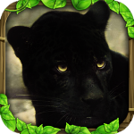 panther