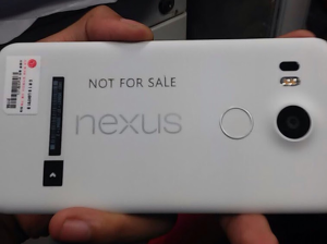 Nexus 5X (Foto: Androidpolice)