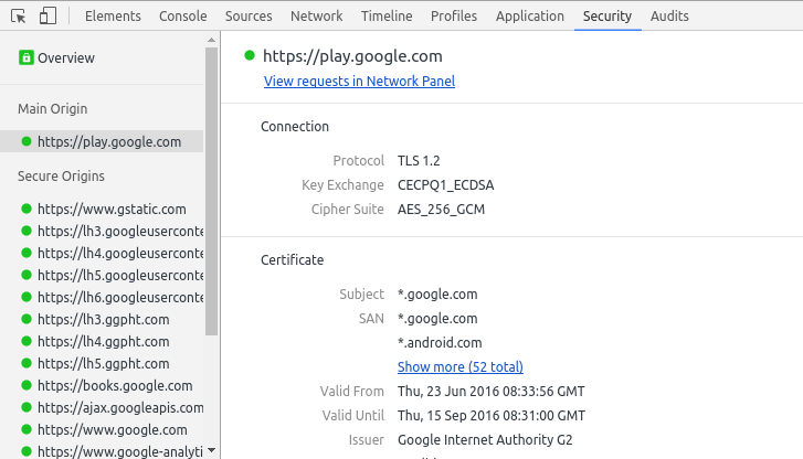 Chrome Security Tab
